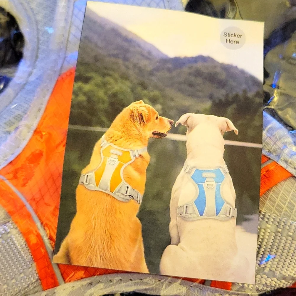 IPETZOO No Pull Reflective Dog Harness Gray Orange Large Breeds 27